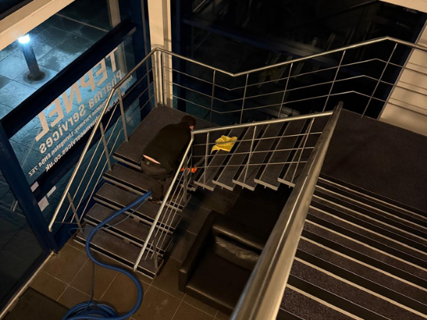 Stairs Office Carpet Cleaning Livingston